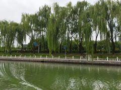 -皇家御河游(紫御湾码头)