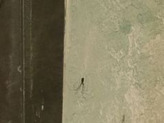 -美豪怡致酒店(上海长寿路店)