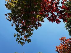 -千龙湖生态旅游度假区