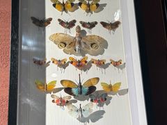 -汉堡王(北京通州领展店)