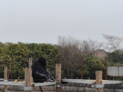 -南昌动物园