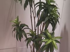 -东方威尼斯温泉酒店