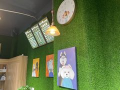 -小呆的宠物店·宠物售卖·宠物寄养(城西店)