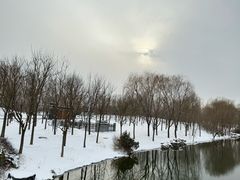 -马家湾湿地公园