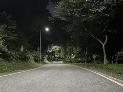 -火炉山森林公园