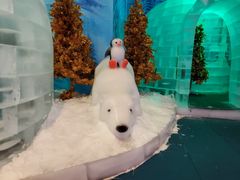 -郑州银基冰雪世界