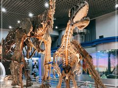 -国家自然博物馆