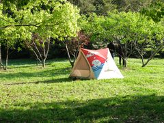 -上海共青森林公园