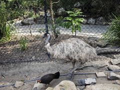 -可伦宾野生动物保护区