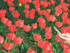 -郑州中国绿化博览园