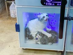 -熊小胖宠物生活馆(天华园店)