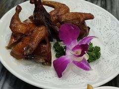 -鸽鸟轩(石岐店)