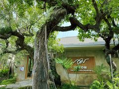 -Chom Cafe and Restaurant