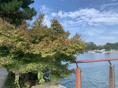 -梅地亚君澜度假酒店俱乐部