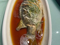 -天福苑(崇宁路店)