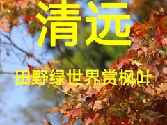 -田野绿世界