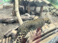-昆明动物园