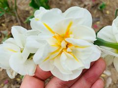 -廊坊文化艺术中心