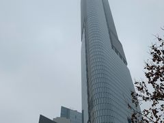 -紫峰大厦
