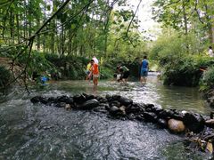 -桤木河湿地公园