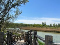 -野鸭湖国家湿地公园