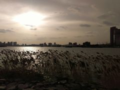 -上海山野camping·户外天幕烧烤·团建拓展营地