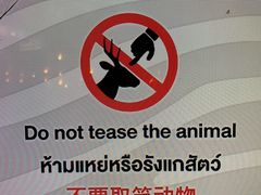 -清迈夜间动物园