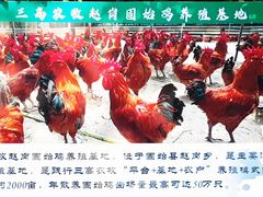 -解家河南菜(商鼎路店)