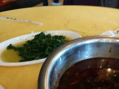 -胖大姐黄辣丁鱼庄(新津店)