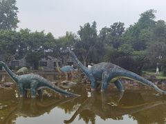 -自贡恐龙博物馆
