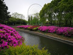 -蠡湖大桥公园