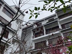 -苏州吴宫泛太平洋酒店