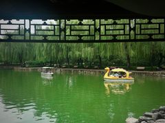 -团结湖公园