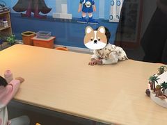 -斯坦星球AI编程·机器人科创·科学实验·信奥·思维·STEM·积木拼搭·竞赛考级(浦东联洋广场大拇指龙阳御桥中心)