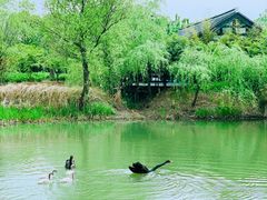 -长兴太湖图影湿地文化园