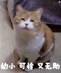 -三叶眼镜城(八佰伴店)