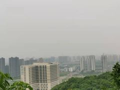 -杭州半山国家森林公园