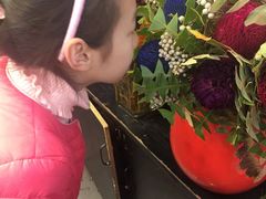 -双季花艺园艺市场(浦东店)