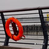 轮渡轮渡