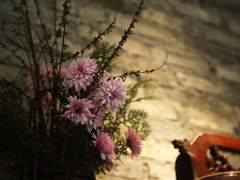 店内环境-瓷语堂(上海五维空间创意园店)