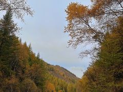 -苏木山森林公园