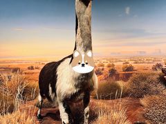 -陕西自然博物馆