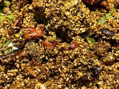 -彭城味道.地道徐州味(怡海花园店)