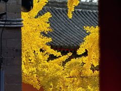 -承恩寺