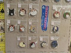 -平行世界·猫咖(首经贸店)