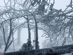 -张家界天门山国家森林公园