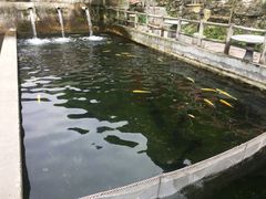 -建社鱼庄(管坪店)