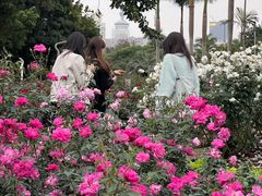 -人民公园(罗湖区)