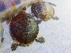 -常州海昌海洋探索馆