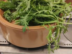 茼蒿-龍歌自助小火锅(李沧丽达店)